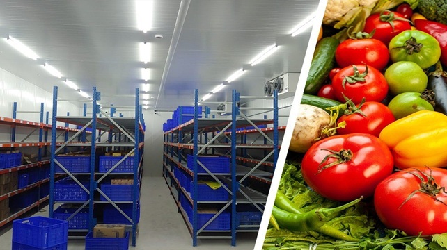 Agricultural services by Salhawas FPCL