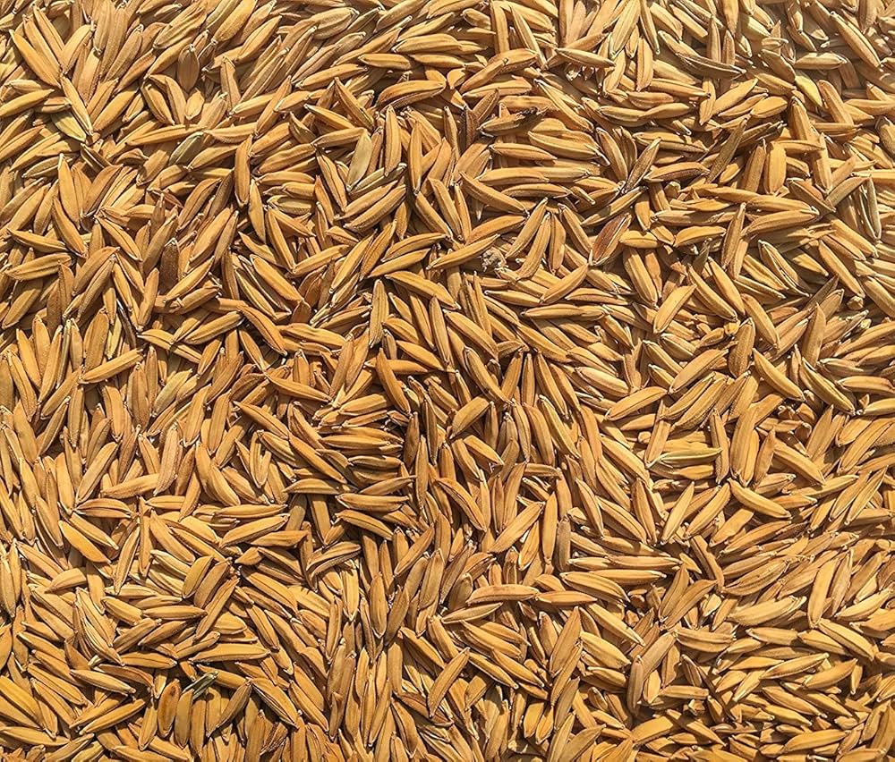 Rice Seeds (Basmati)