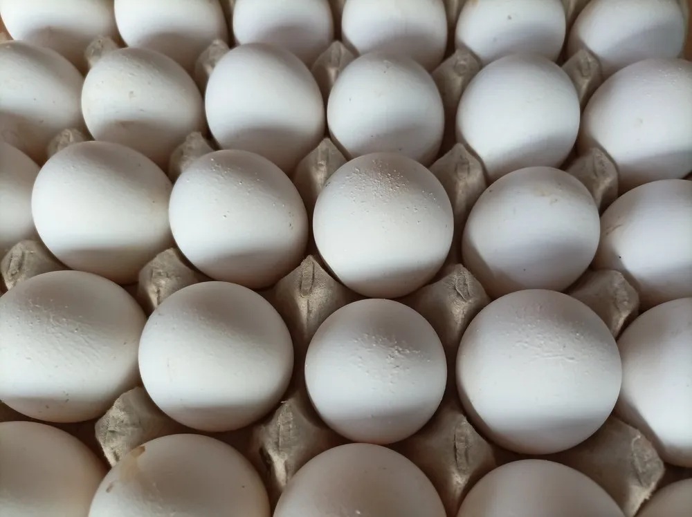 Farm Fresh Eggs (White)