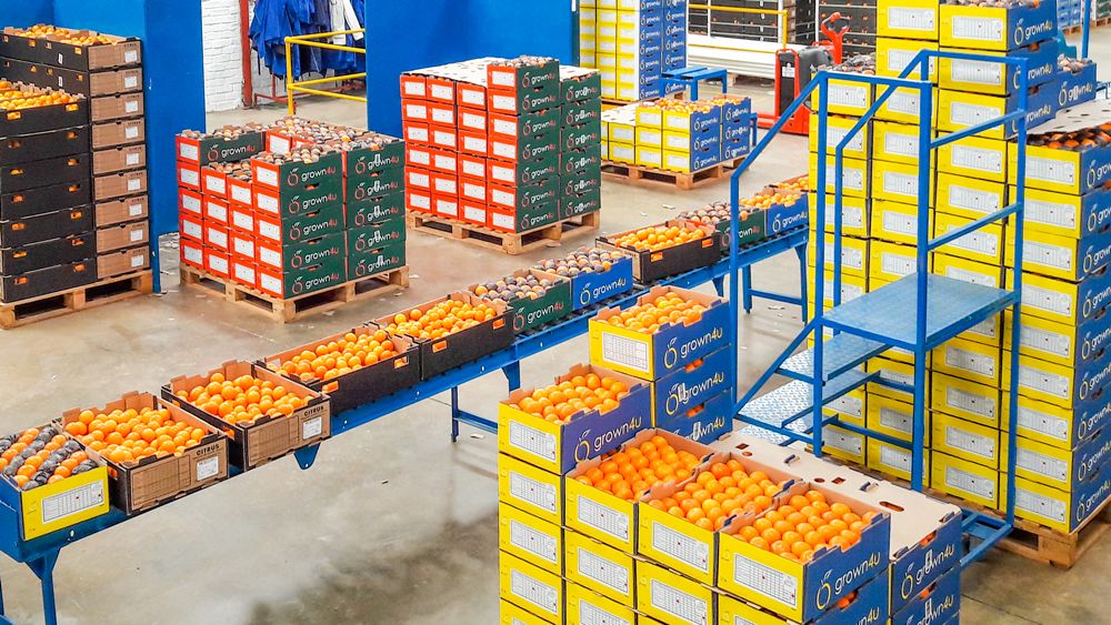 Packhouse service by Salhawas FPCL